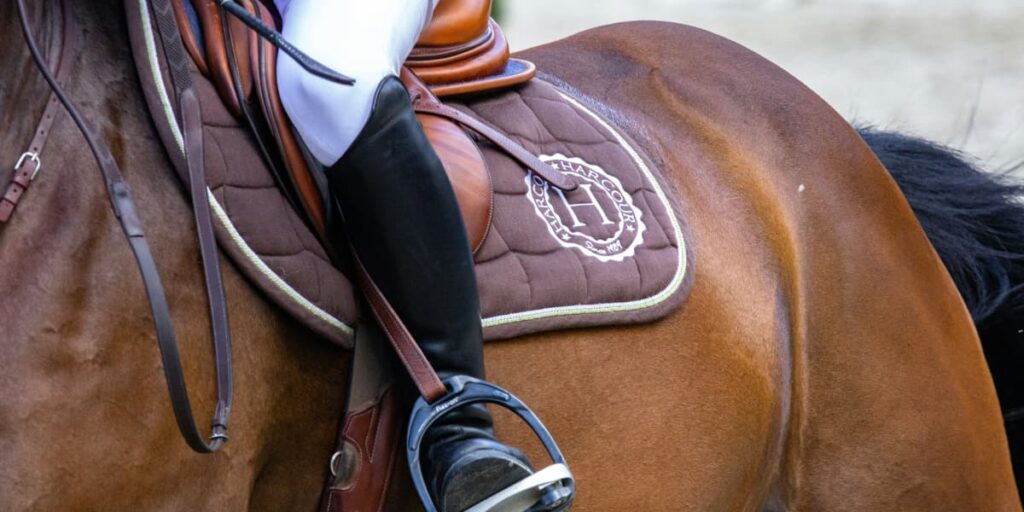 Ippica, appuntamento a Prato con la prima Rassegna del cavallo trottatore