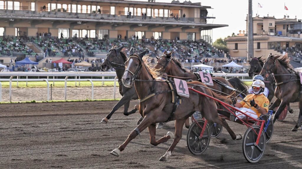 Ippica: a Capannelle aperta procedura licenziamento collettivo, galoppo italiano in crisi