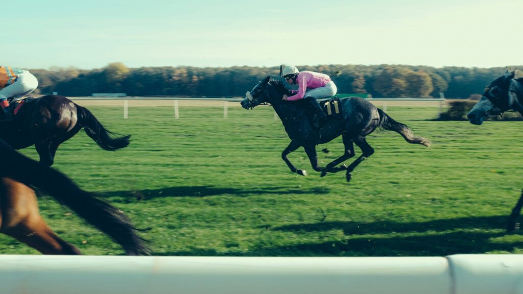 Calendario corse 2025 e sovvenzioni agli ippodromi al banco del Tar Lazio