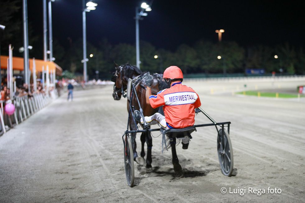 Campionato europeo di Trotto all’ippodromo Savio di Cesena, ecco il Gran Premio finale