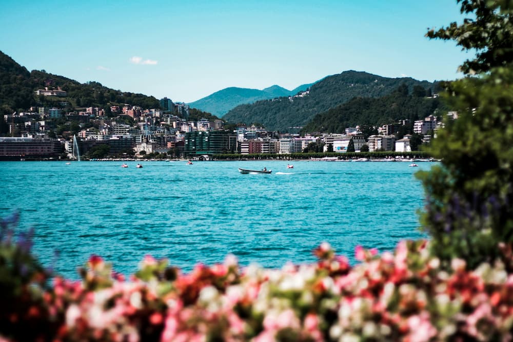 Paijiu, è disputa legale sull’uso del marchio da parte del Casinò di Lugano