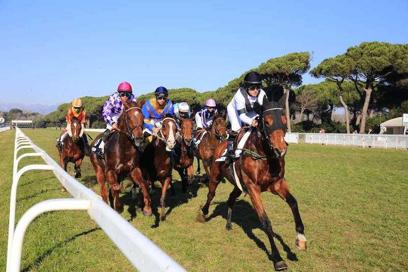 Ippica, i numeri del 2025 e l’inizio di un percorso tra dati negativi e aspetti positivi