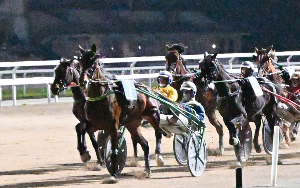 Ippica, a San Siro la settima giornata di trotto