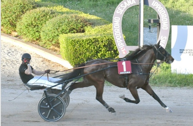 Ippodromo Snai Sesana, pennellata d’autore di Giotto dell’Est
