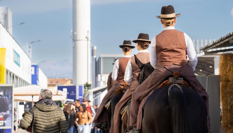 Fieracavalli 2026: domani l’apertura delle offerte per le finali nazionali circuito allevatoriale